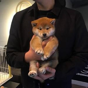 gay 片网址中国在床上
